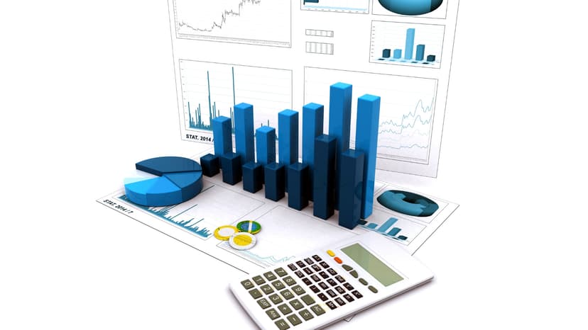 NeuroLeadership Analysis of the Organization